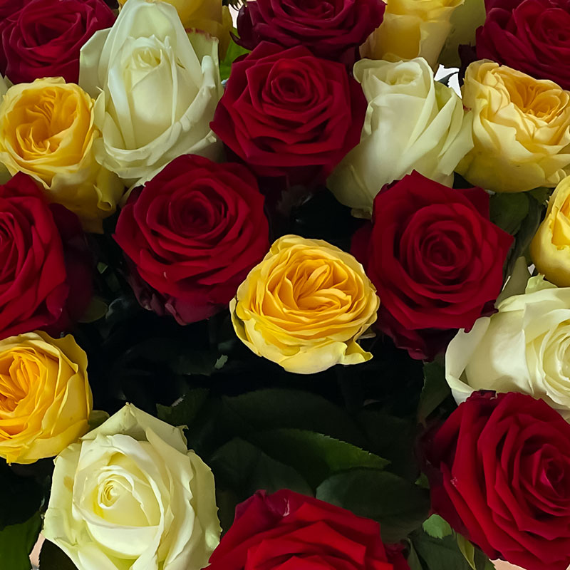 parkhotel lindau 1 700