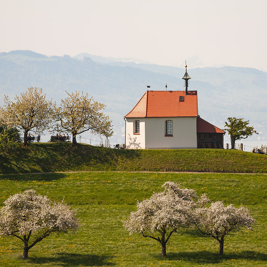 Obstblüte und Kapelle Selmnau obstbluete