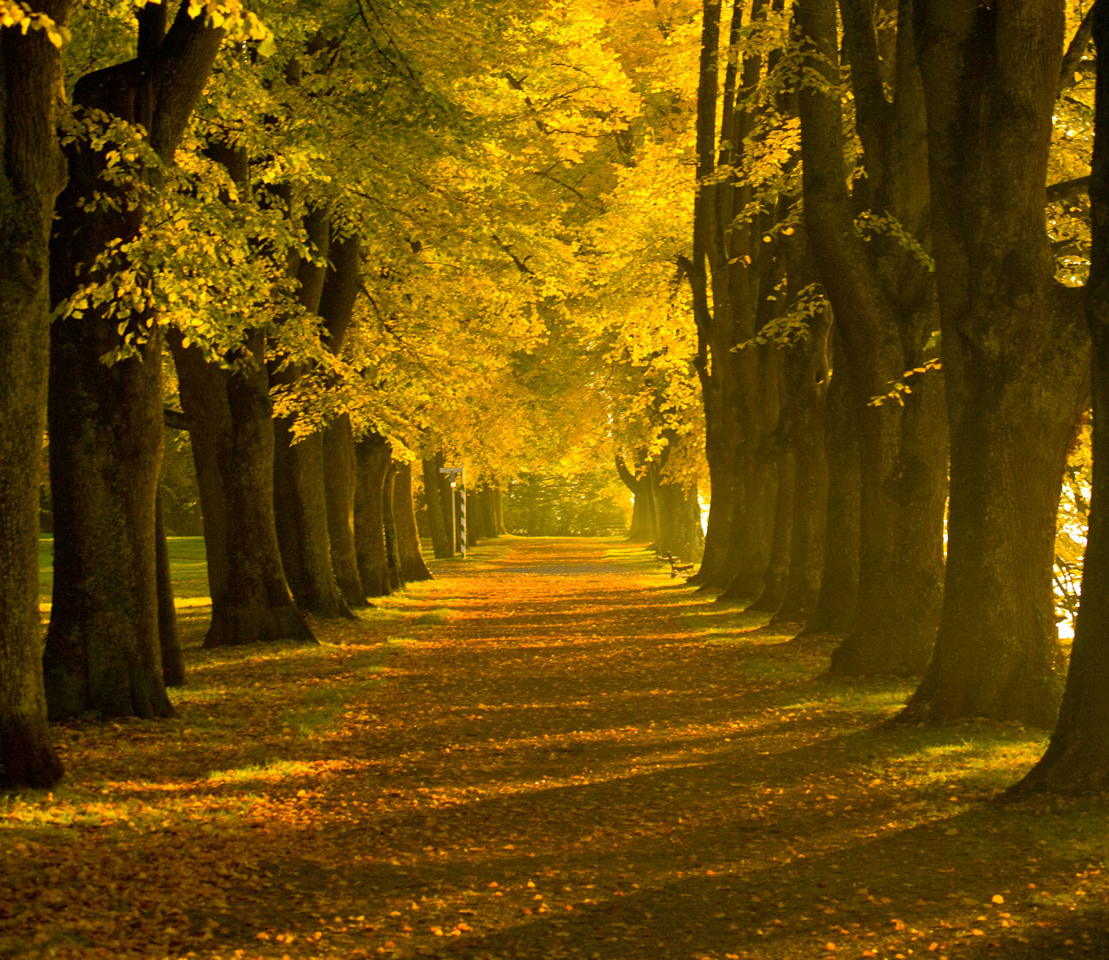 jahrmarkt lindauIMG 1600 2